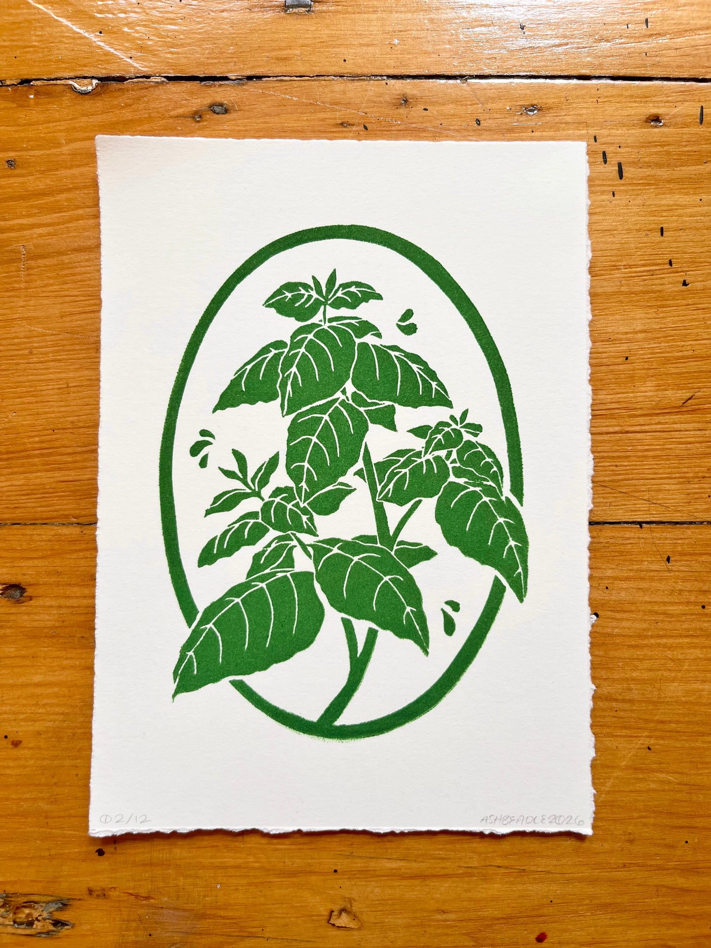 Basil Plant Mini Print