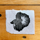 30 Day Mini Prints // Days 20 - 29