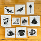 30 Day Mini Prints // Days 20 - 29