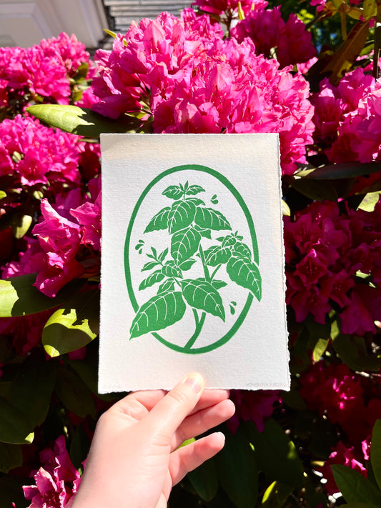 Basil Plant Mini Print